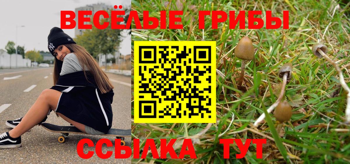 Галлюциногенные грибы прущие грибы Губкин
