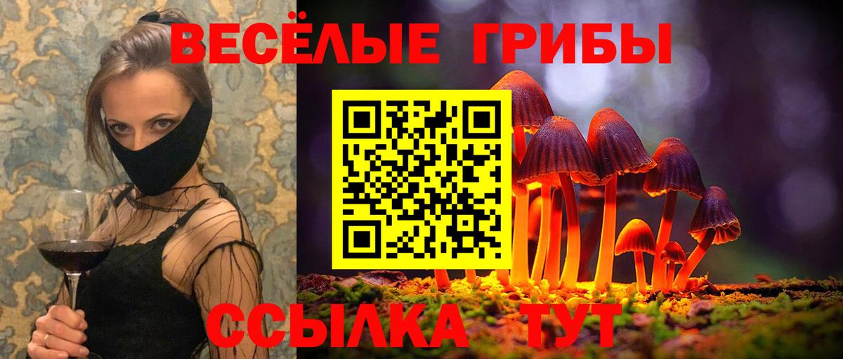 APVP СК кристаллы  Конопля  Меф МЯУ МЯУ  Губкин  Меф   Купить наркоту  Cocaine  Вход с VPN 