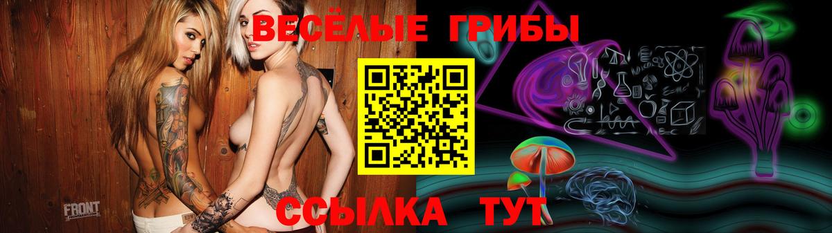 Губкин  Псилоцибиновые грибы мухоморы  Вход с VPN 