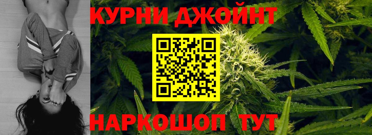 Каннабис планчик Губкин